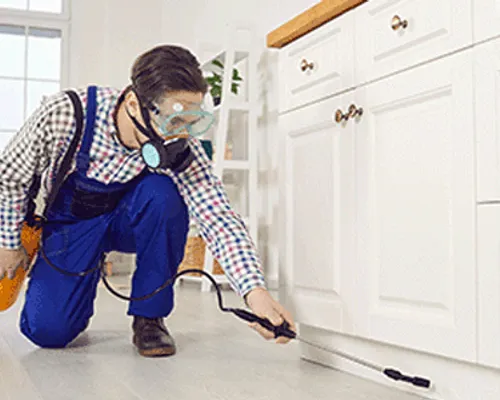 Pest Control